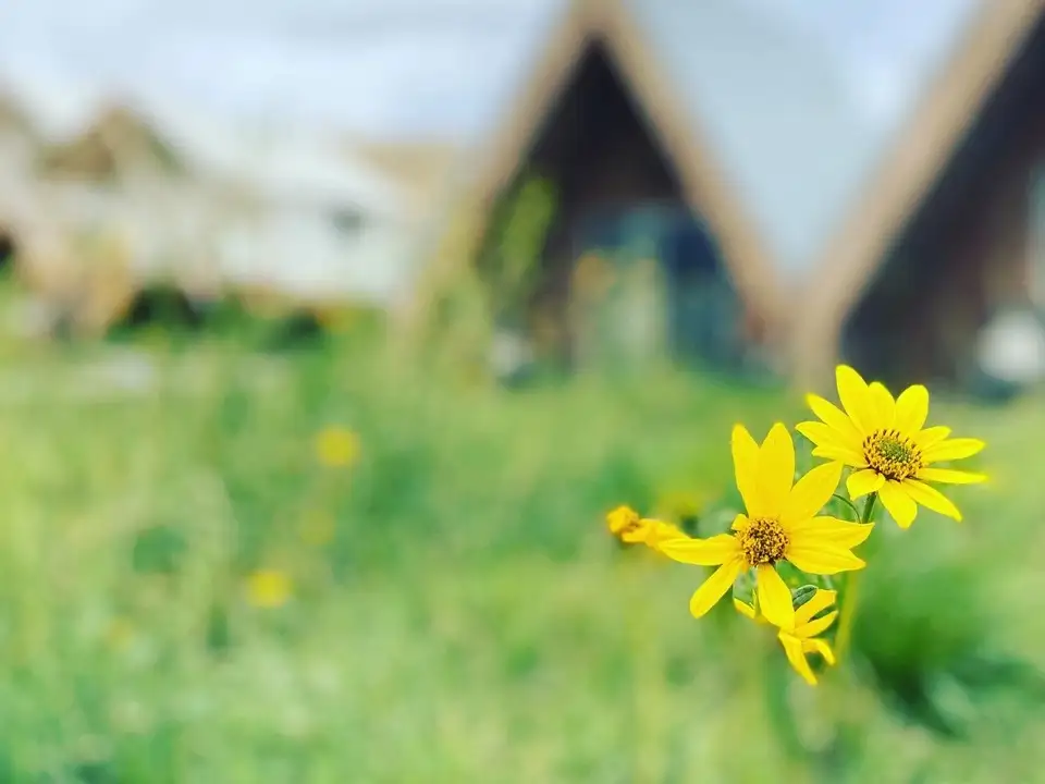 glamping in montana